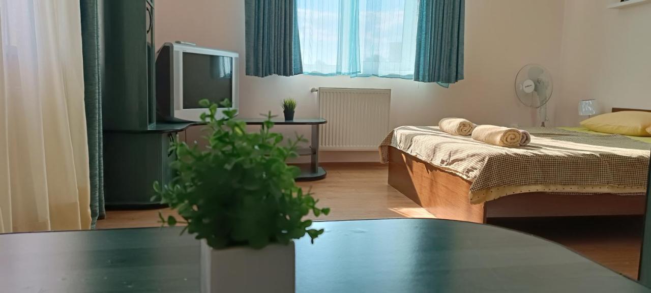 Vip Apartments In The Centre Mukacheve Exterior photo